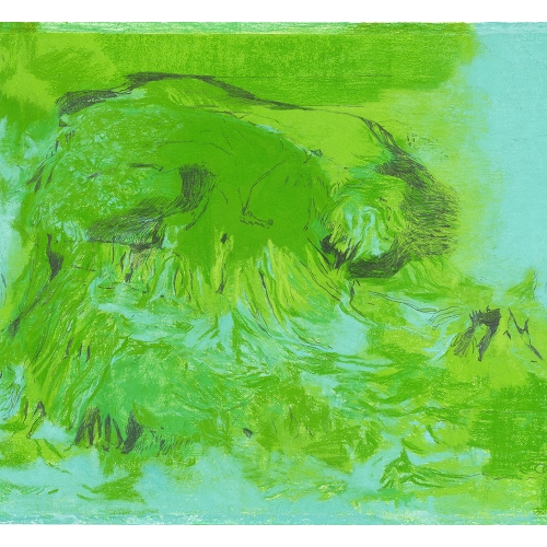 2006 Groen / Green no. 1 | 70 x 100 cm | pastel - graphite pencil on paper