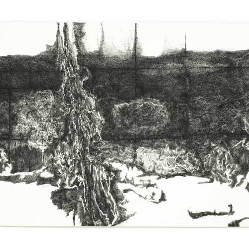 2009 Untitled no. 2 | 153 x 237 cm | charcoal on paper
