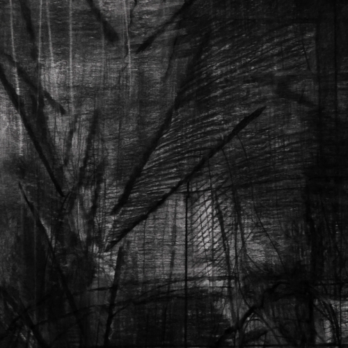 2024 Untitled 230 x 196 cm - Fragment- Charcoal on paper