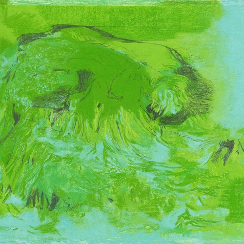 2006 Green no. 1, 100 x 70 cm, Pastel Graphite pencil, Collection Museum van Bommel van Dam, Venlo, NL